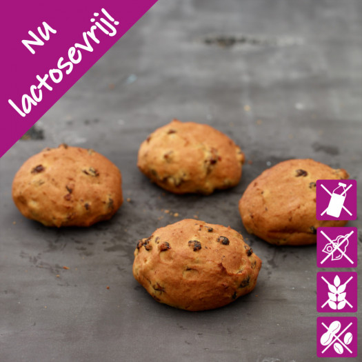 Rozijnen Krentenbollen glutenvrij